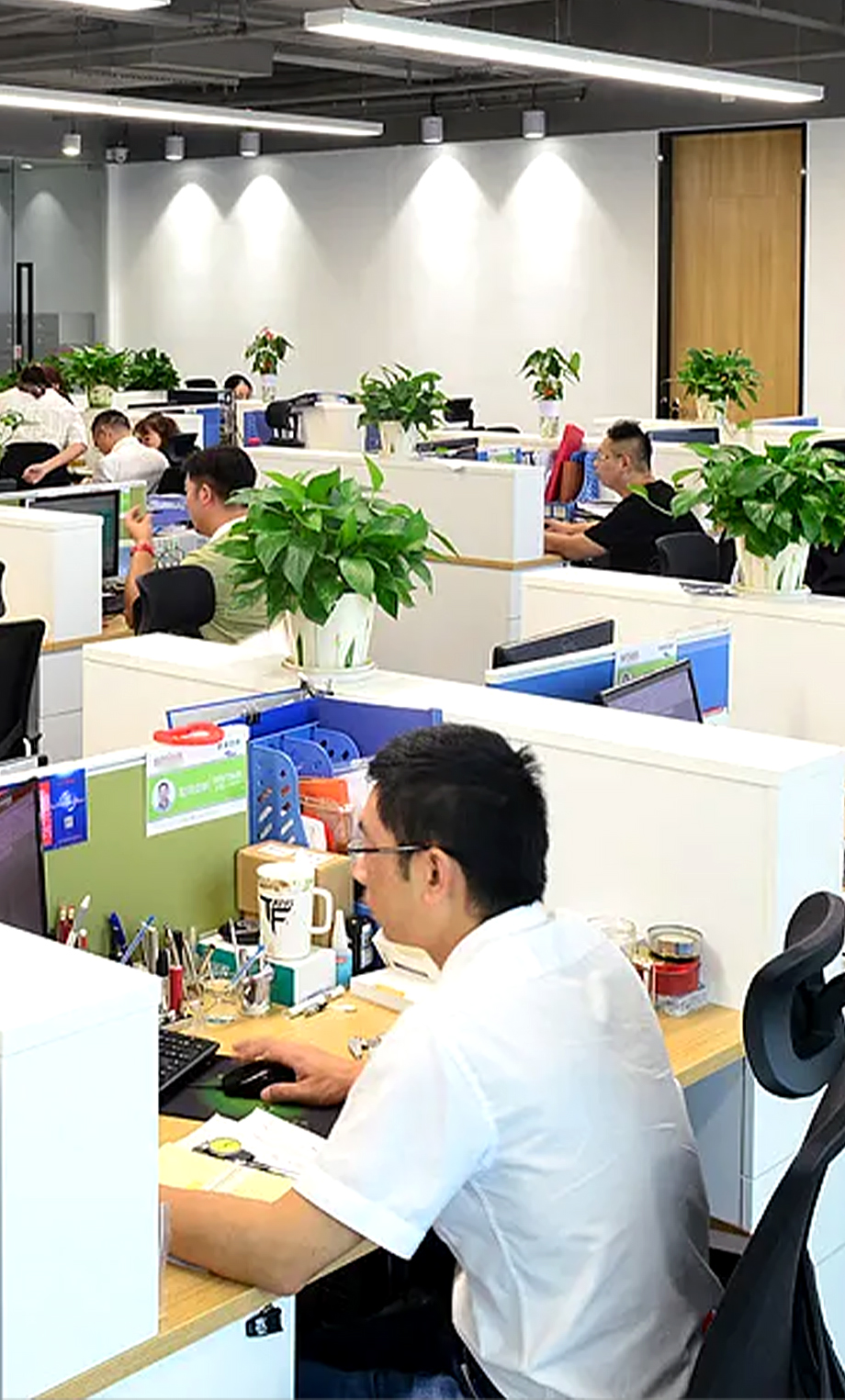 Taizhou Opey Pet Products Co., Ltd.